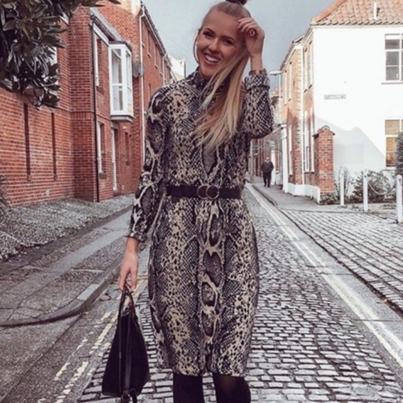 Zara Snakeskin Longsleeve Turtleneck Dress - Picture 5 of 5